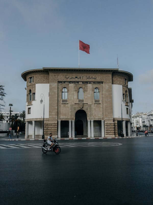 外汇系统搭建：从MT4破解到MT5主标、小白标的一站式解决方案